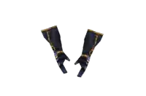 Dark Master Gloves +10