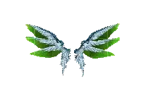 Wings of Disillusion