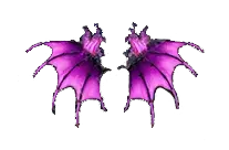 Wings of Silence
